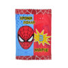 ΣΕΤ ΠΑΡΤΥ SPIDERMAN