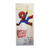 ΣΕΤ ΠΑΡΤΥ SPIDERMAN ΚΑΜΒΑΣ